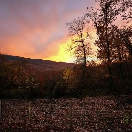 Violette Forest Lutzelhouse
