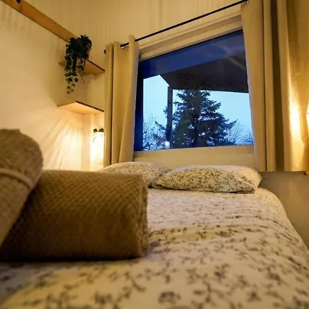 Violette Forest * Lutzelhouse