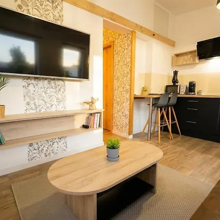 Violette Forest בקתה Lutzelhouse