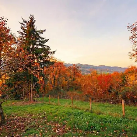 Violette Forest Dağ evi Lutzelhouse