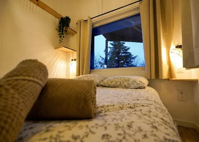 Violette Forest * Lutzelhouse