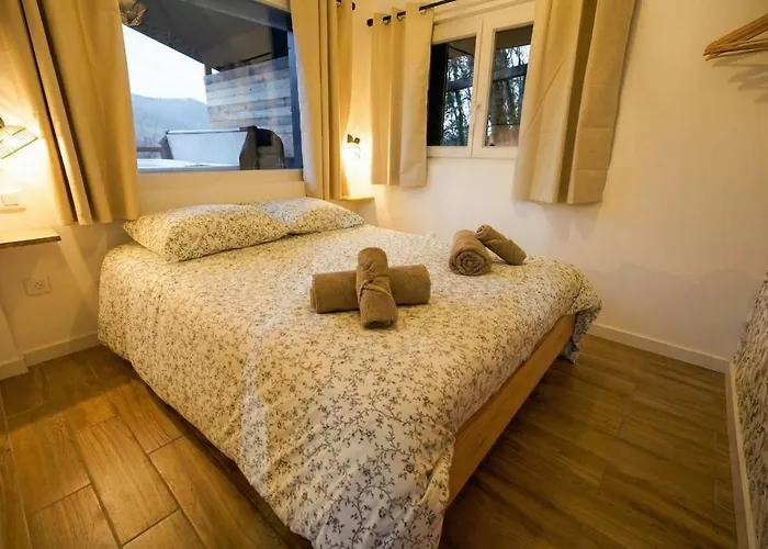 Violette Forest * Lutzelhouse