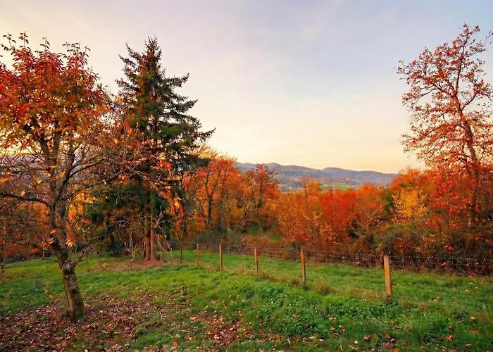 Violette Forest Chalet Lutzelhouse